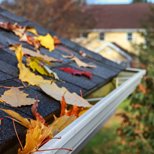 gutter filled with debris